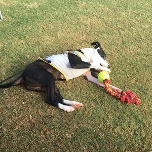 Meet your Posher, Jjoel